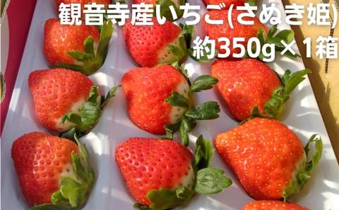 数量限定 観音寺産いちご(さぬき姫)約350g×1箱 讃岐の美味しい苺