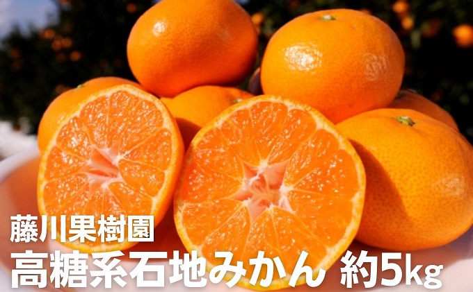 2026年冬よりお届け 高糖系石地みかん 約5kg 果物類／みかん