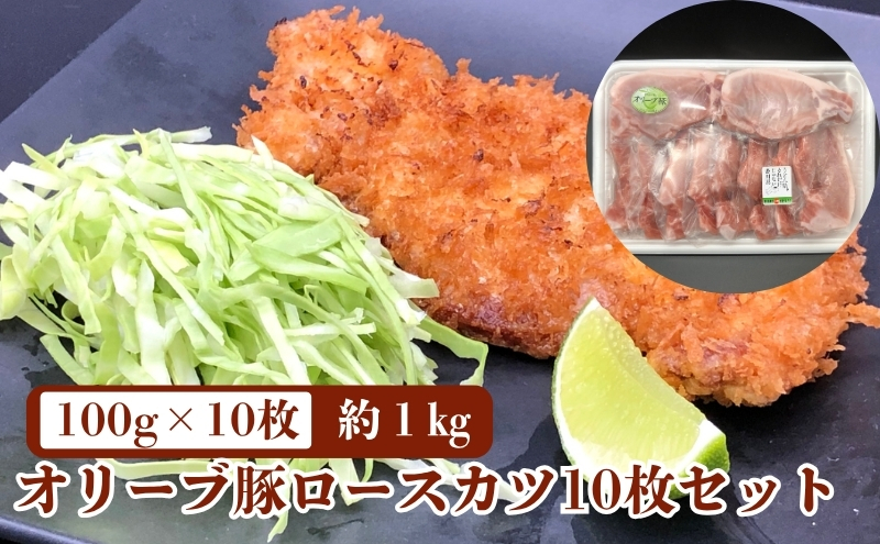 《旨味・甘味が違う》オリーブ 豚ロース 1kg トンカツ用 真