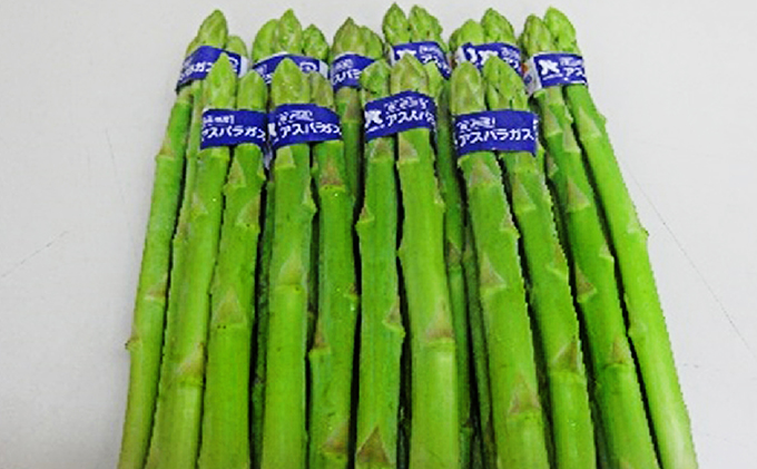 香川県オリジナルアスパラガス「さぬきのめざめ」(夏芽)細