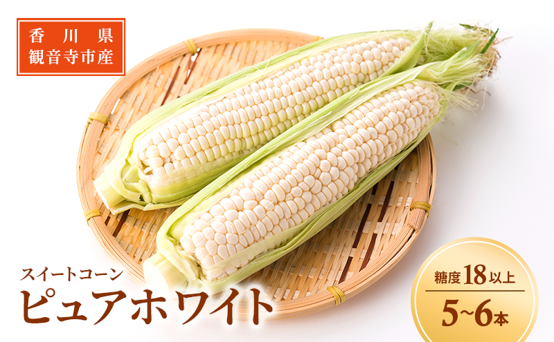 《糖度18度以上》スイートコーン とうもろこし ピュアホワ
