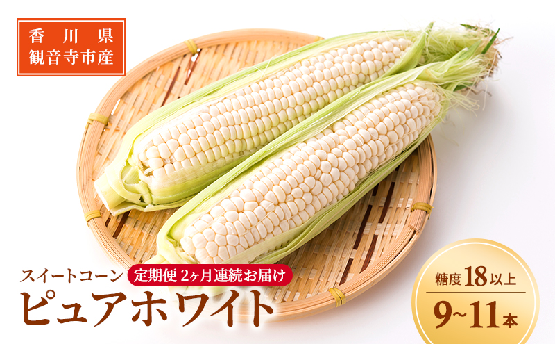 《糖度18度以上》スイートコーン とうもろこし ピュアホワ