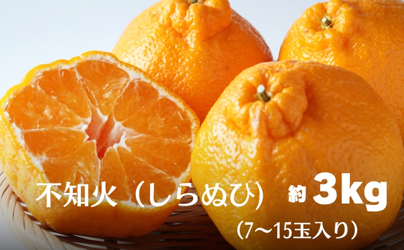 不知火（しらぬひ）約3kg 果物類 みかん 柑橘類 デコポン フ