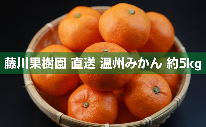 2026年秋よりお届け フジカワ温州みかん 約5kg フルーツ 果物