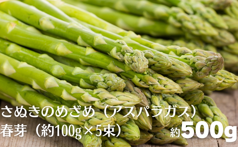 さぬきのめざめ（アスパラガス）春芽  約500g（約100g×5束）
