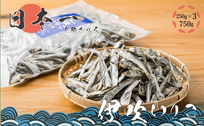 いりこの産地から！伊吹いりこ 大羽 750g（250g×3袋） 大容量