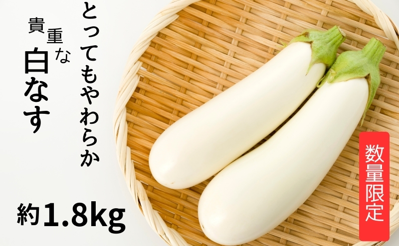 【数量限定】とっても柔らか 貴重な白なす 約1.8kg 茄子 野
