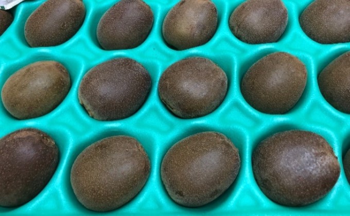 香川県オリジナルキウイ「さぬきエンジェルスイート」約2.