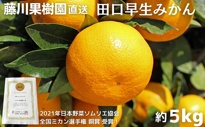 2026年秋よりお届け 田口早生みかん　約5kg 果物類 柑橘類 柑