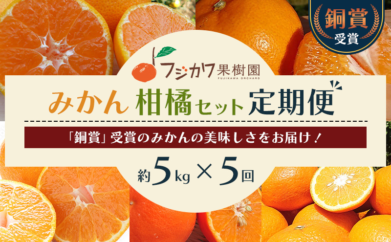 みかん 定期便 5回 フルーツ フジカワ果樹園オリジナル（新