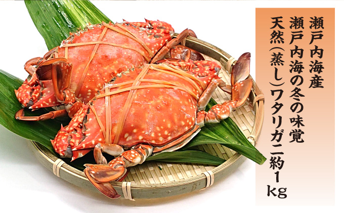 ［数量限定］瀬戸内海の冬の味覚♪香川県産天然ワタリガ