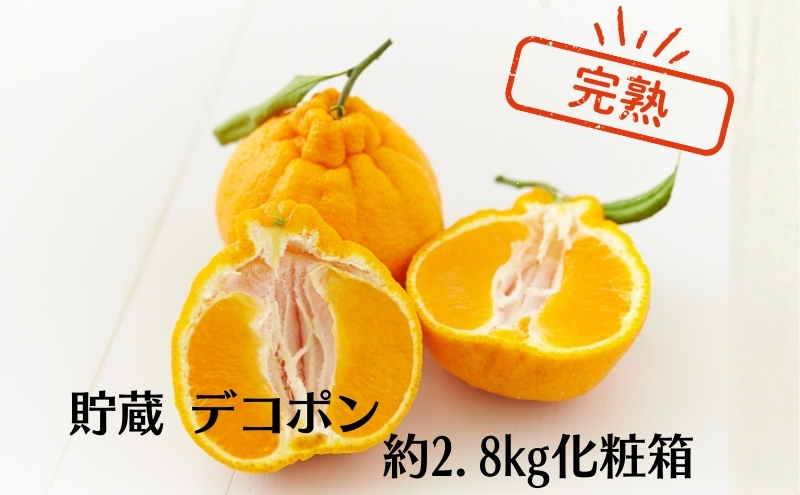 貯蔵 デコポン 約2.8kg化粧箱 果物類 みかん 柑橘類
