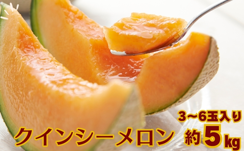 クインシー メロン（赤肉）約5kg 果物類 フルーツ メロン赤