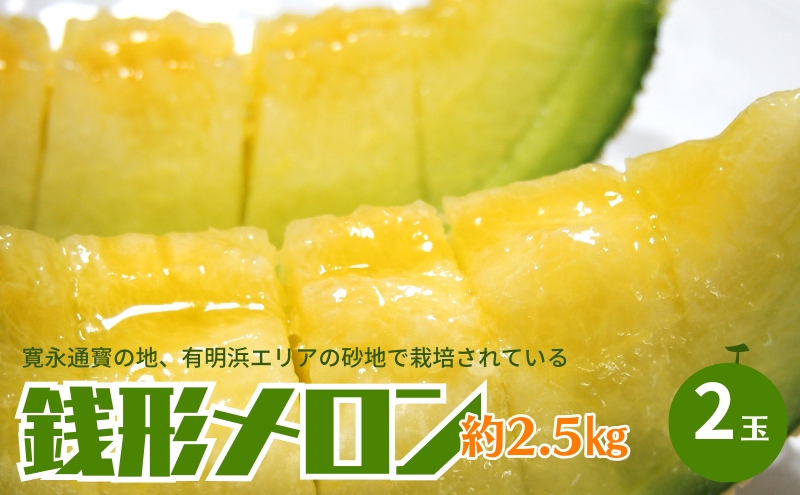 銭形メロン 2玉 化粧箱入り 約2.5kg　［アールスメロン］ 果