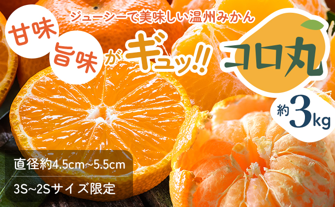 2026年秋よりお届け 瀬戸内　小みかん！コロ丸　約3kg 果物
