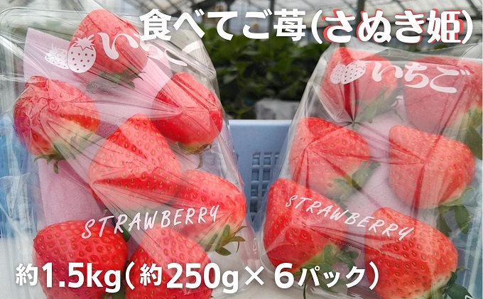食べてご苺（さぬき姫）約1.5kg（約250g×6パック） 果物類 い