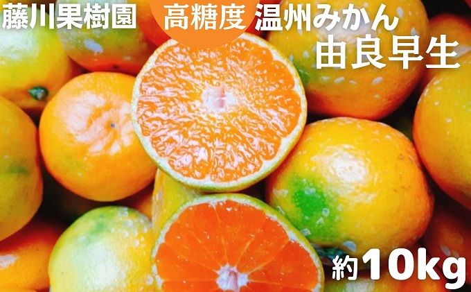 2026年秋よりお届け　高糖度温州みかん（由良早生）約10kg