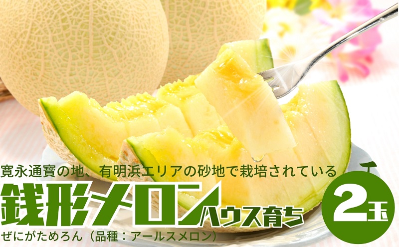 温室メロン（銭形メロン）2玉入り 果物 メロン青肉 フルー