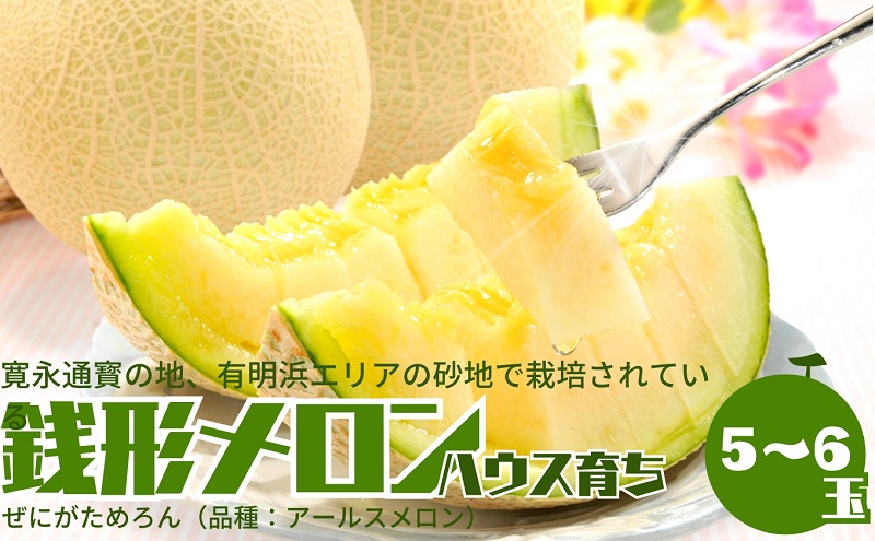 温室メロン（銭形メロン）5～6玉入り 果物 メロン青肉 フル