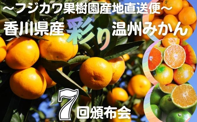 【7回頒布会】～フジカワ果樹園産地直送便～香川県産・彩
