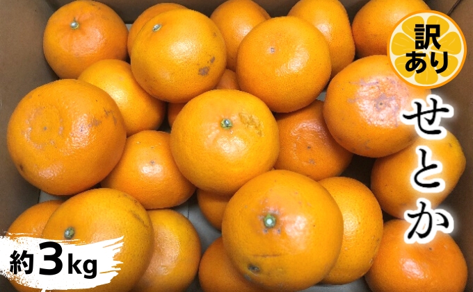 《訳あり》 せとか 約3kg 甘い みかん お取り寄せ  果物 くだ