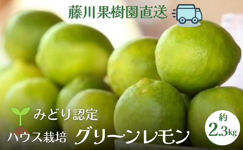 【2026年 先行予約】みどり認定 ハウス栽培グリーンレモン