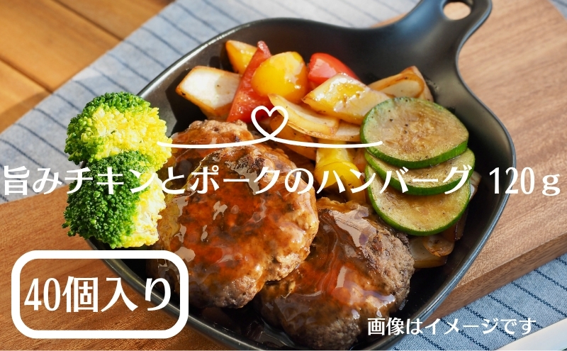 旨みチキンとポークのハンバーグ 120ｇ×４０個（冷凍直送