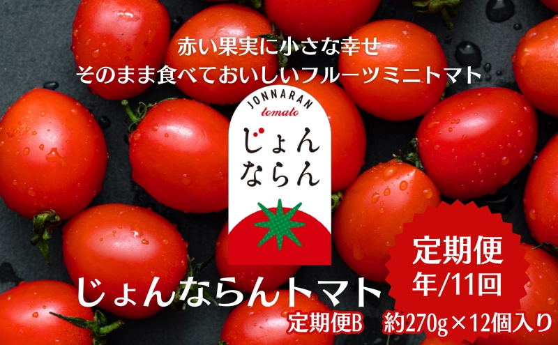 モリヒロ園芸が育てたじょんならんトマトの定期便B　約270g