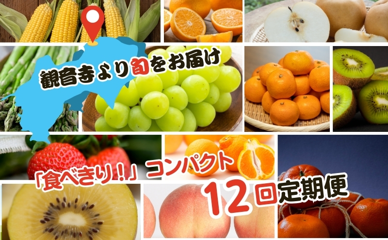 【2026年受付】ご家庭用 食べきり 旬菜旬果フルーツ定期便