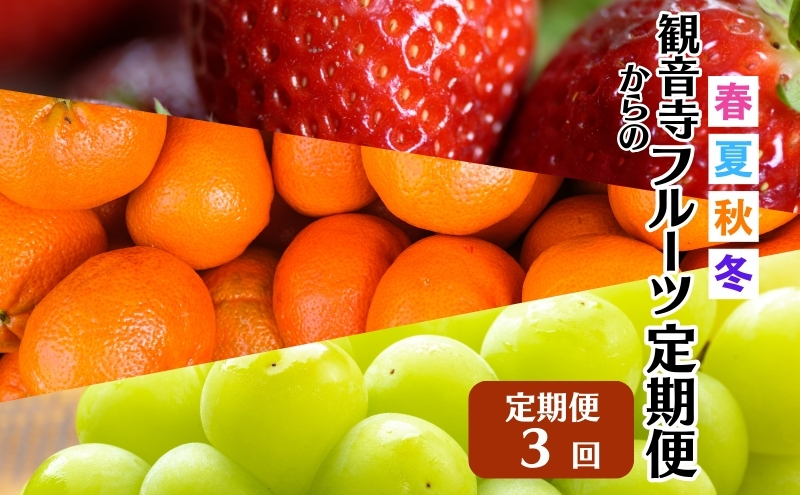 【2026年受付】 観音寺市からの特産フルーツ 定期便 年間3回