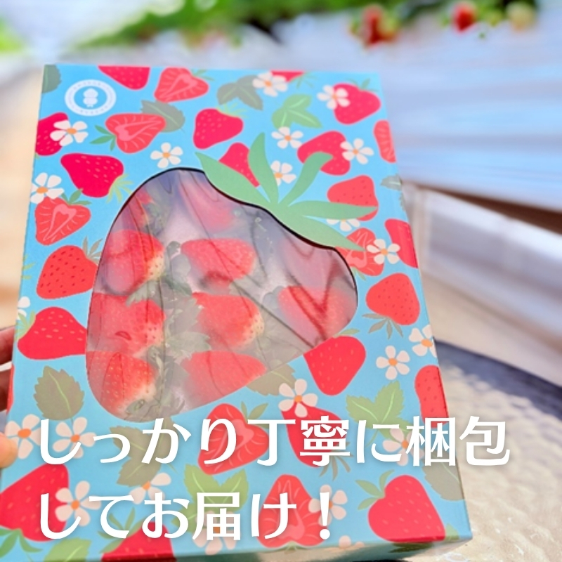 かわさきふるーつ園 直送 さぬきひめ 苺 約400g