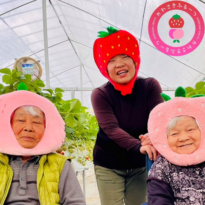 かわさきふるーつ園 直送 さぬきひめ 苺 約400g