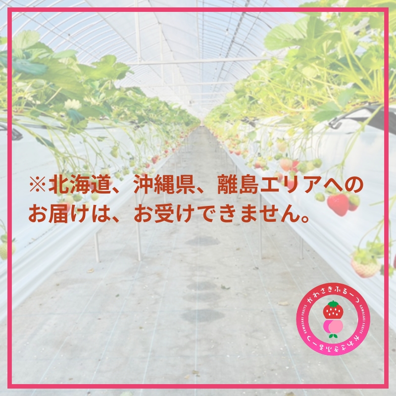 かわさきふるーつ園 直送 さぬきひめ 苺 約400g