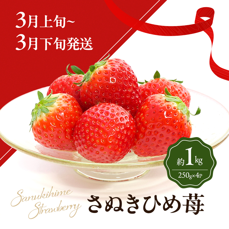讃岐のいちご定期便（全3回）【さぬきひめ】
