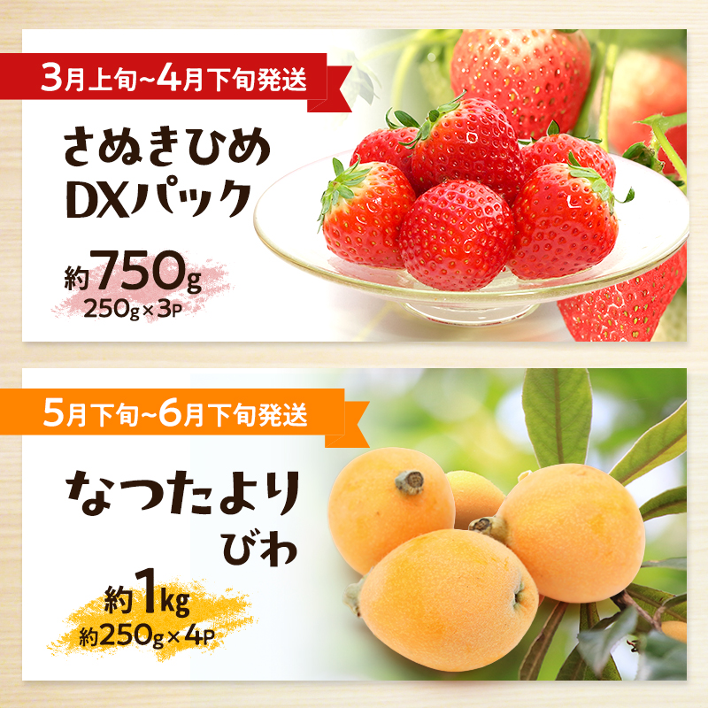 讃岐のフルーツ8回定期便【A】【香緑キウイ】【デコポン】【さぬきひめ苺】【なつたより(びわ)】【さぬきの桃】【さぬきゴールドキウイ】【さぬきキウイっこ】【小原紅早生みかん】