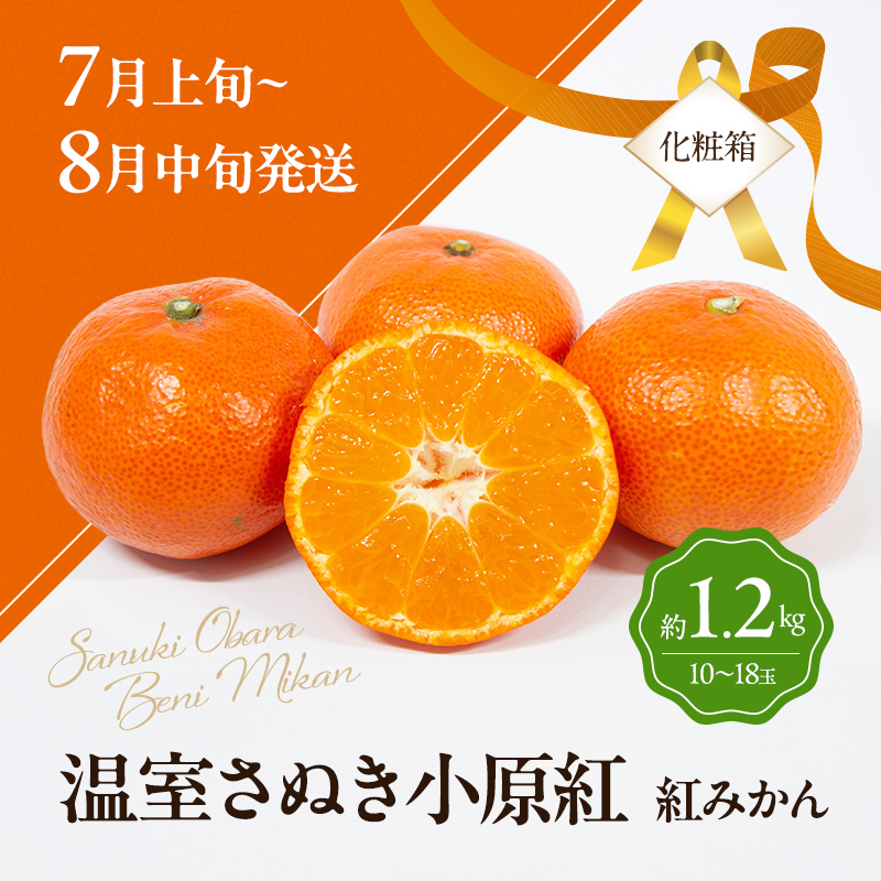 讃岐のフルーツ3回定期便【A】【さぬきひめ苺】【温室さぬき小原紅(紅みかん) 】【さぬきキウイっこ】