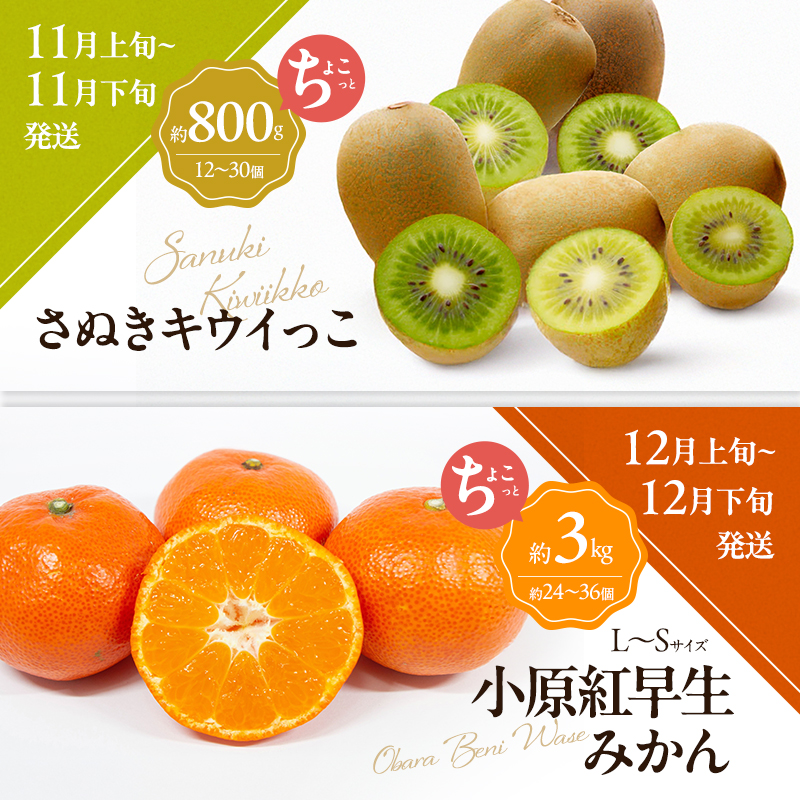 讃岐のちょこっとフルーツ定期便（全8回）【香緑キウイ】【さぬきひめ苺】【デコポン】【なつたより(びわ)】【さぬきの桃】【さぬきゴールドキウイ】【さぬきキウイっこ】【小原紅早生みかん】