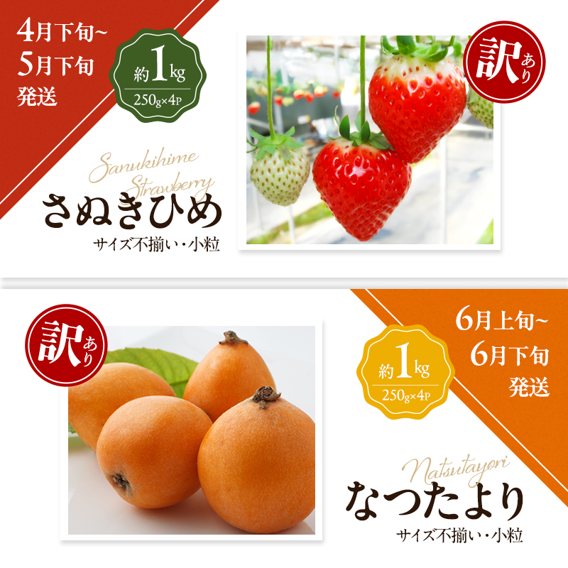 讃岐の訳ありフルーツ定期便（全8回）