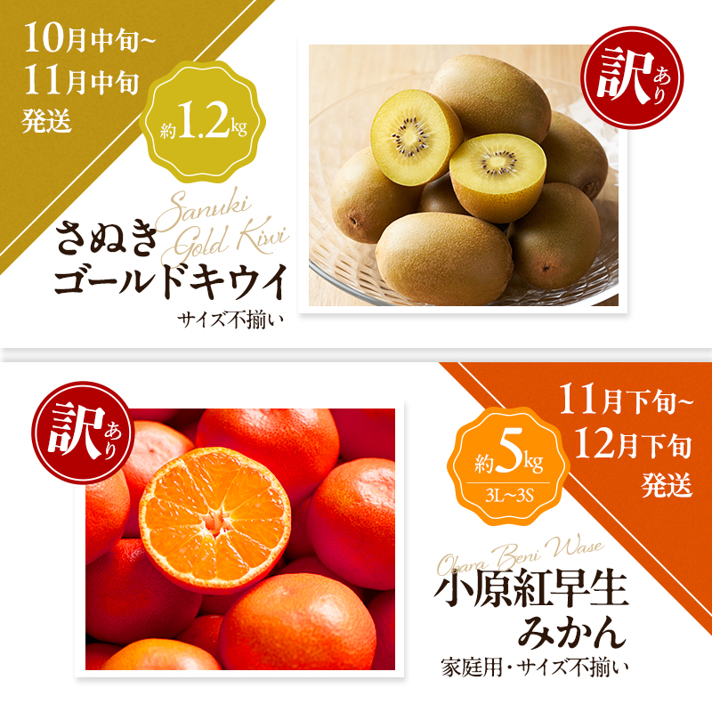 讃岐の訳ありフルーツ定期便（全8回）