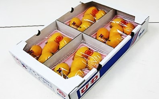 初夏の果実 なつたより（びわ）約1kg