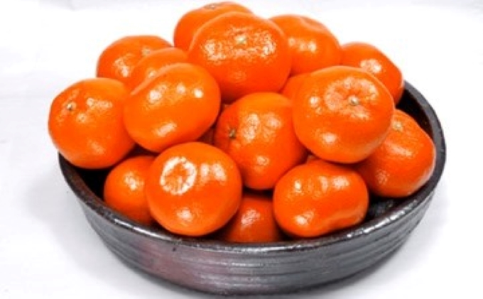 ハウス小原紅早生みかん（さぬき紅）　約2kg