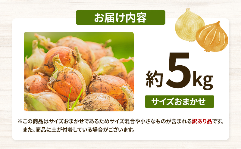 訳ありそのまんま玉ねぎ　約5kg