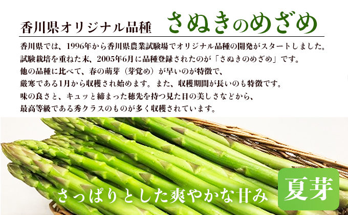 アスパラガス【さぬきのめざめ】夏芽Mサイズ900g