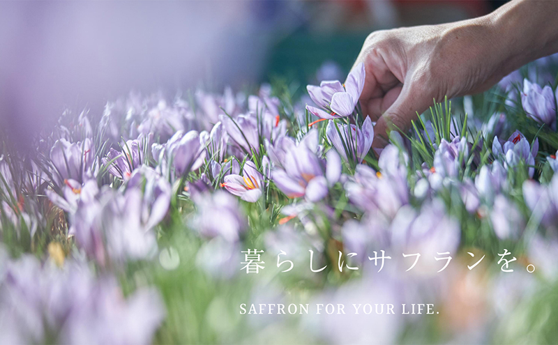 【Seto SAFFRON】SSエッセンス<美容液>（30ml）