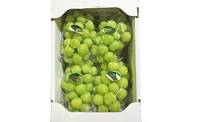 種なし皮ごと「瀬戸ジャイアンツ」約2kg