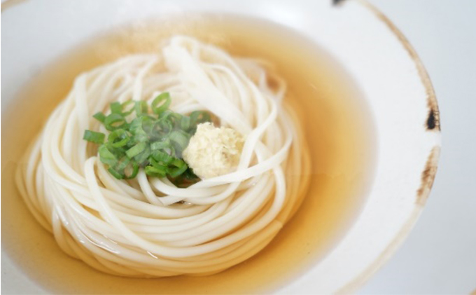 讃岐 東かがわ市自慢の半生うどん・だし詰合せ 8人前　S-QHUT-20