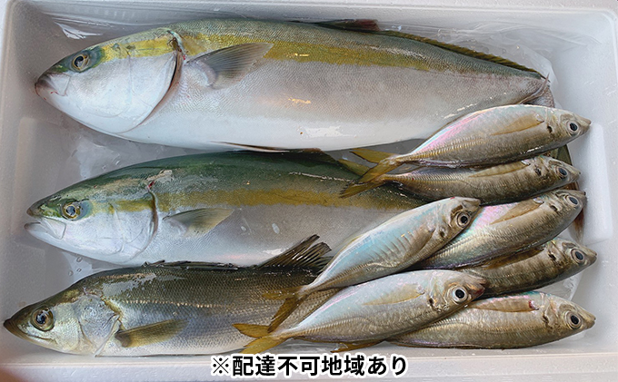 朝捕れ直送！！瀬戸内のお魚詰合せ