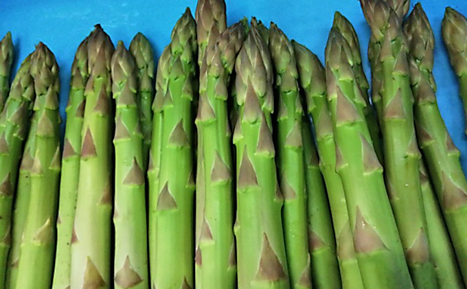 期間限定！極太アスパラ 【さぬきのめざめ1kg】  3Lサイズ 野菜セット 野菜 アスパラガス