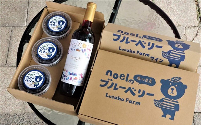 海のキレイな街で育ったブルーベリーとワインのセット