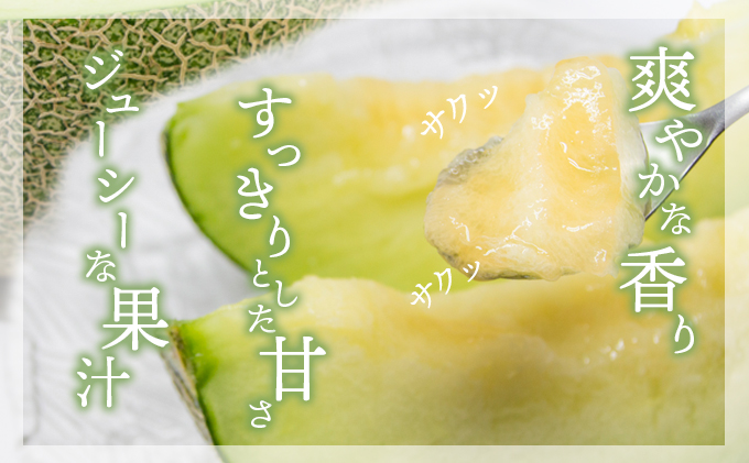 幸せの「タカミメロン」1玉（大玉）